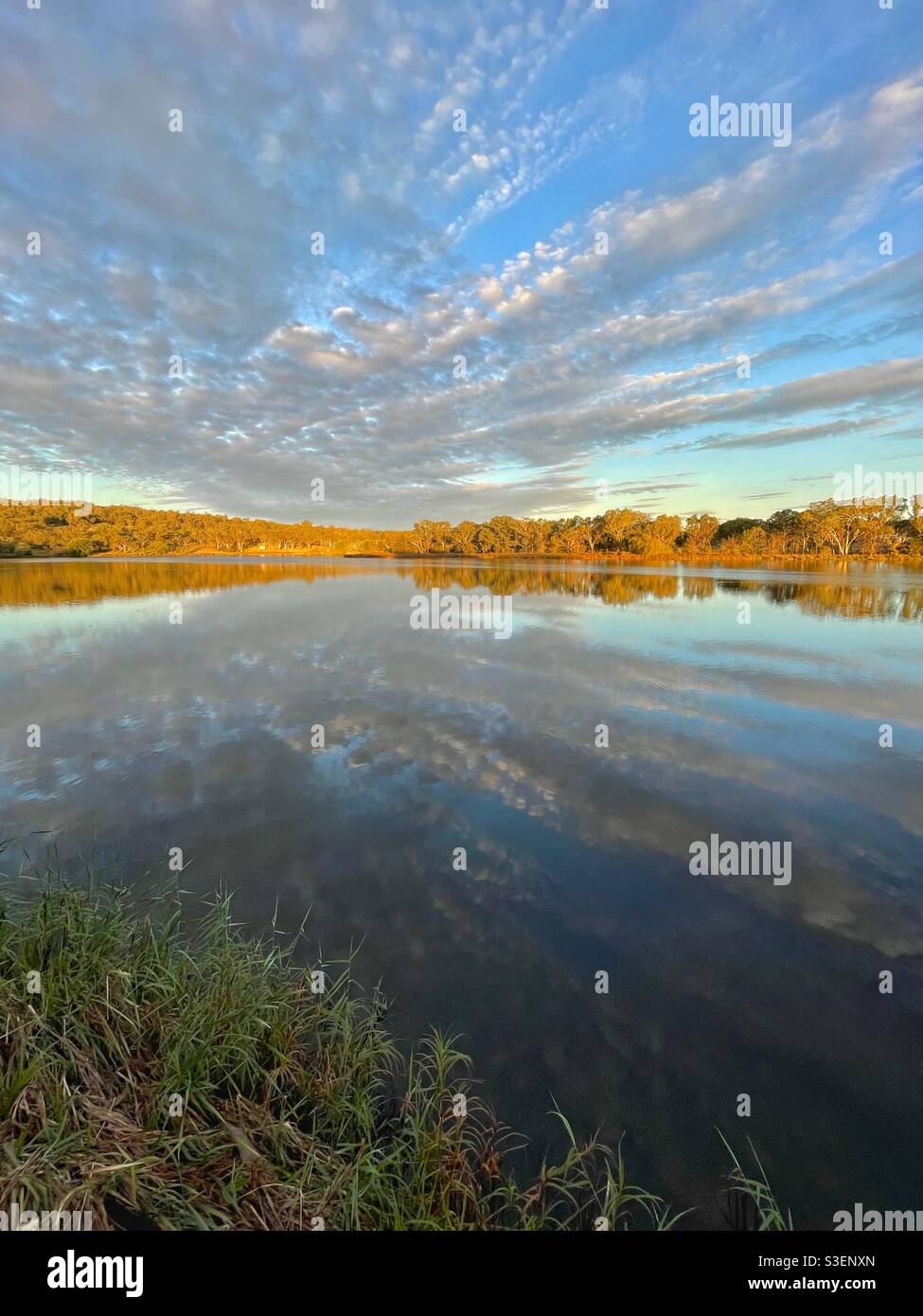 Scenic view of Lake Inverell with late afternoon sun and clouds reflected in the water, Inverell, New South Wales, Australia - Smartphone Captured Stock Image