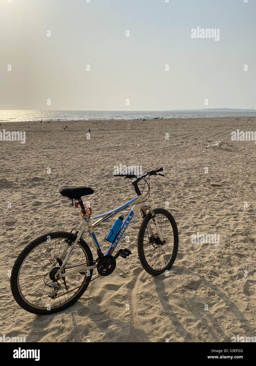 Cycling - Smartphone Captured Stock Image