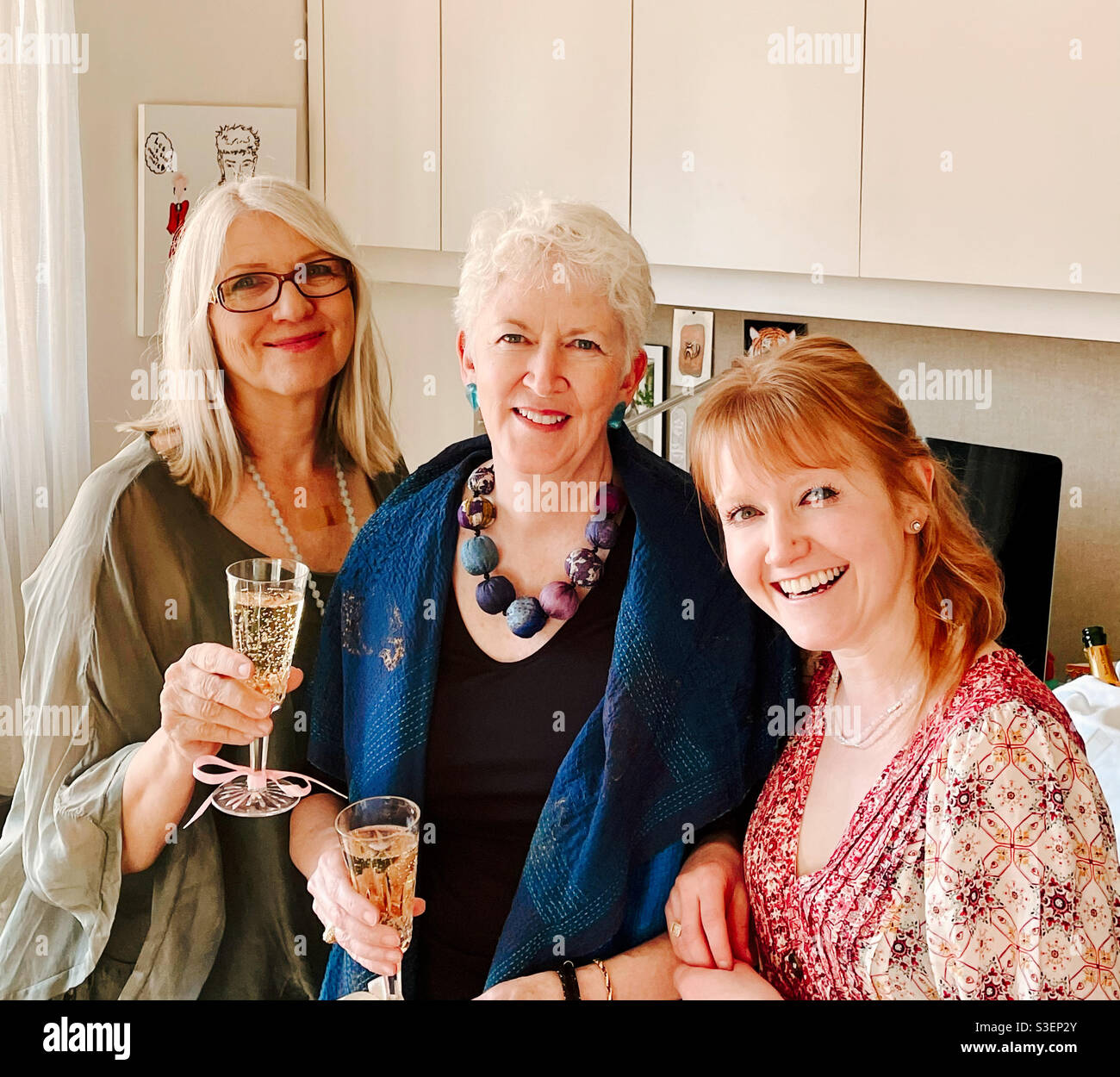 Three lovely ladies enjoying champagne at an afternoon dinner party, USA - Smartphone Captured Stock Image