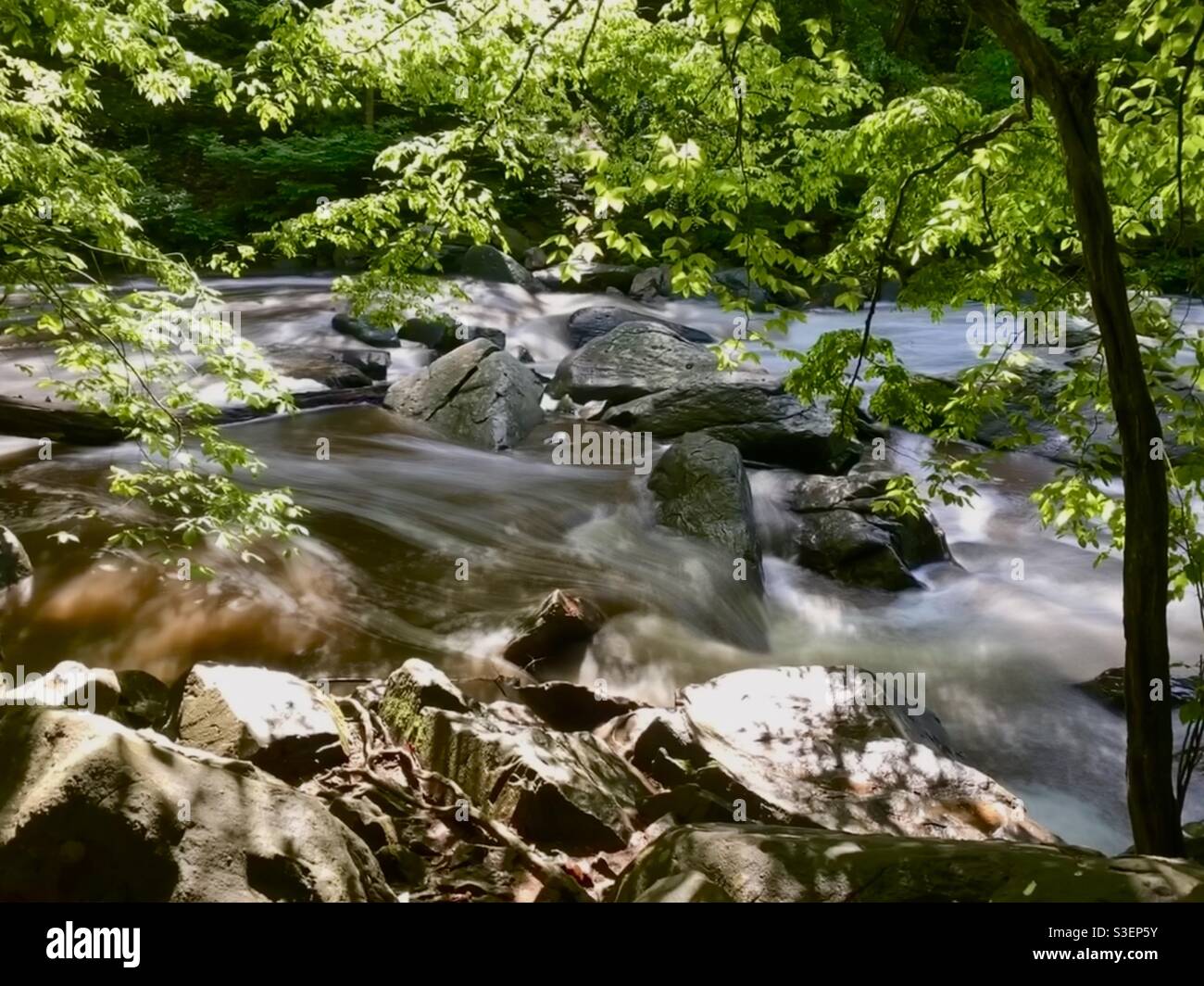 Rock creek park hi-res stock photography and images - Alamy