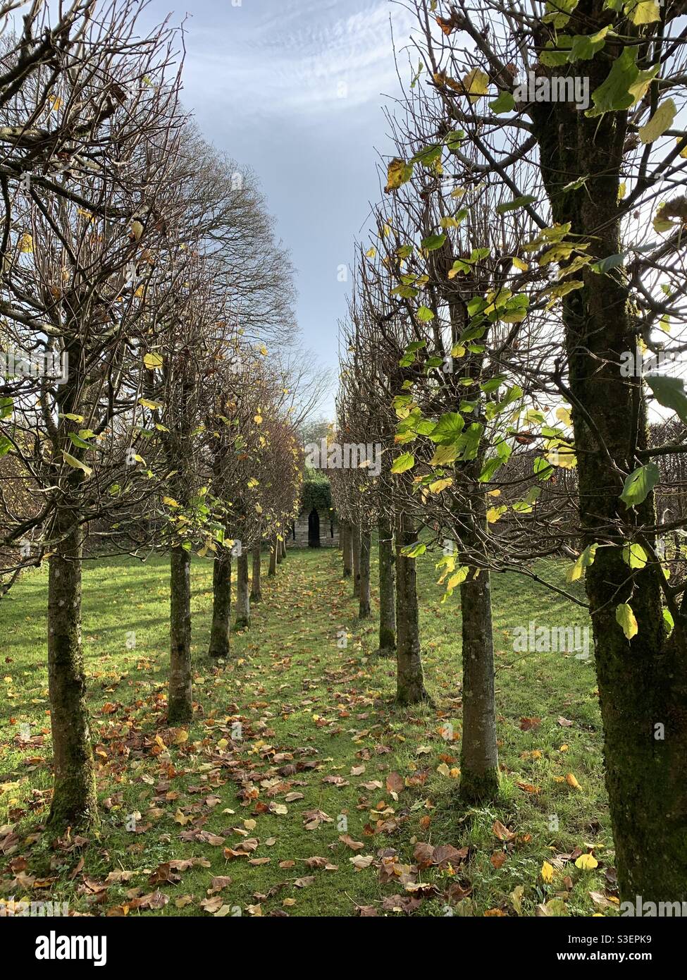 Cotswolds Path - Smartphone Captured Stock Image