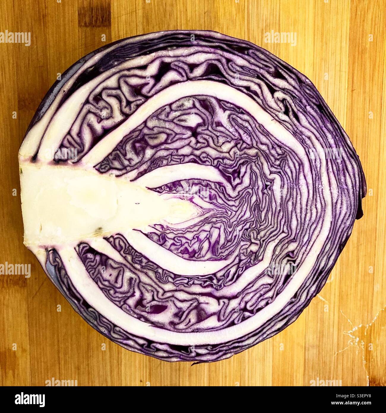 A half of red cabbage Stock Photo