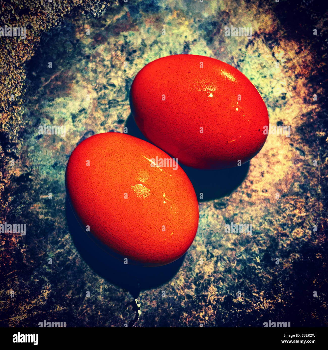 Hot boild eggs side by side - Smartphone Captured Stock Image