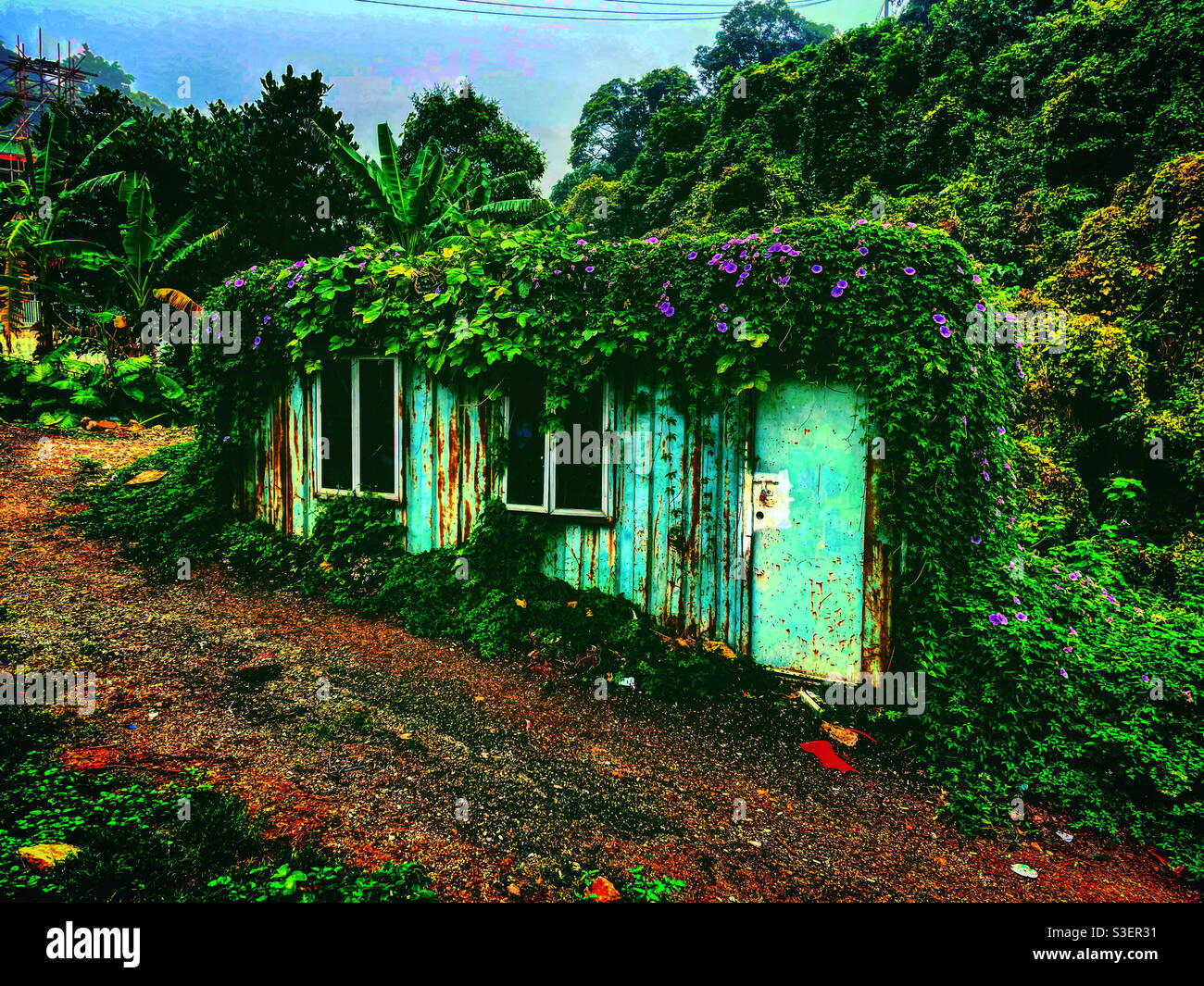 Container house block in metal on the soil ground in a farm or field for people to live in. It is covered by plants and leaves like abandonned and rusted - Smartphone Captured Stock Image