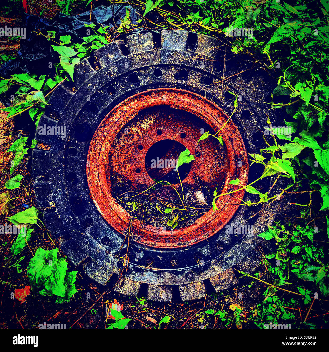Old rusted wheel with flat tire civeted eith plants & leaves abandoned in nature - Smartphone Captured Stock Image