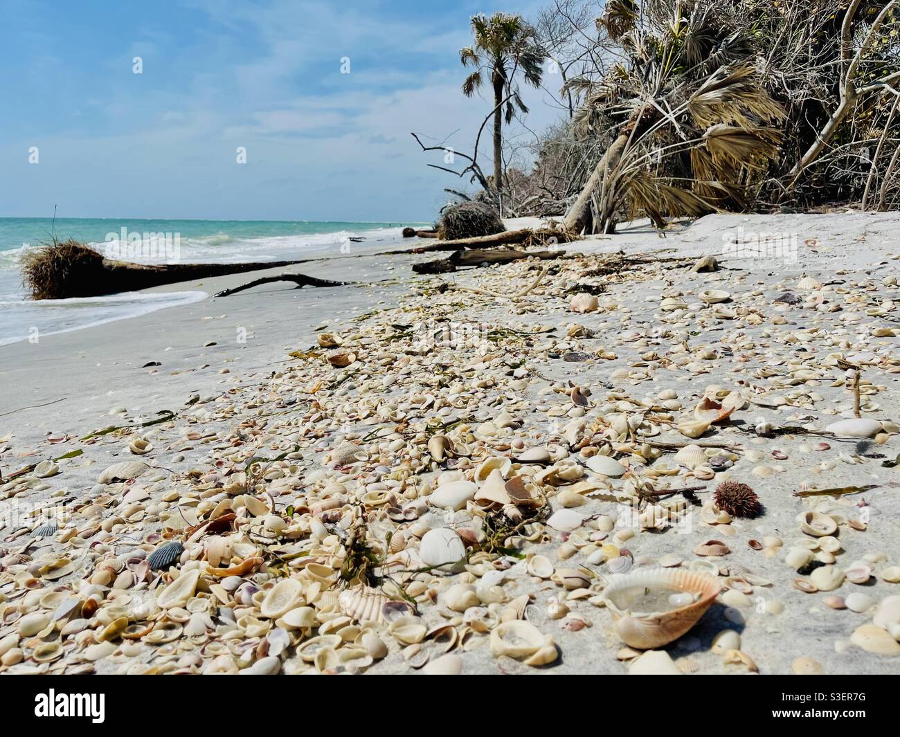 Deserted beach Stock Photo