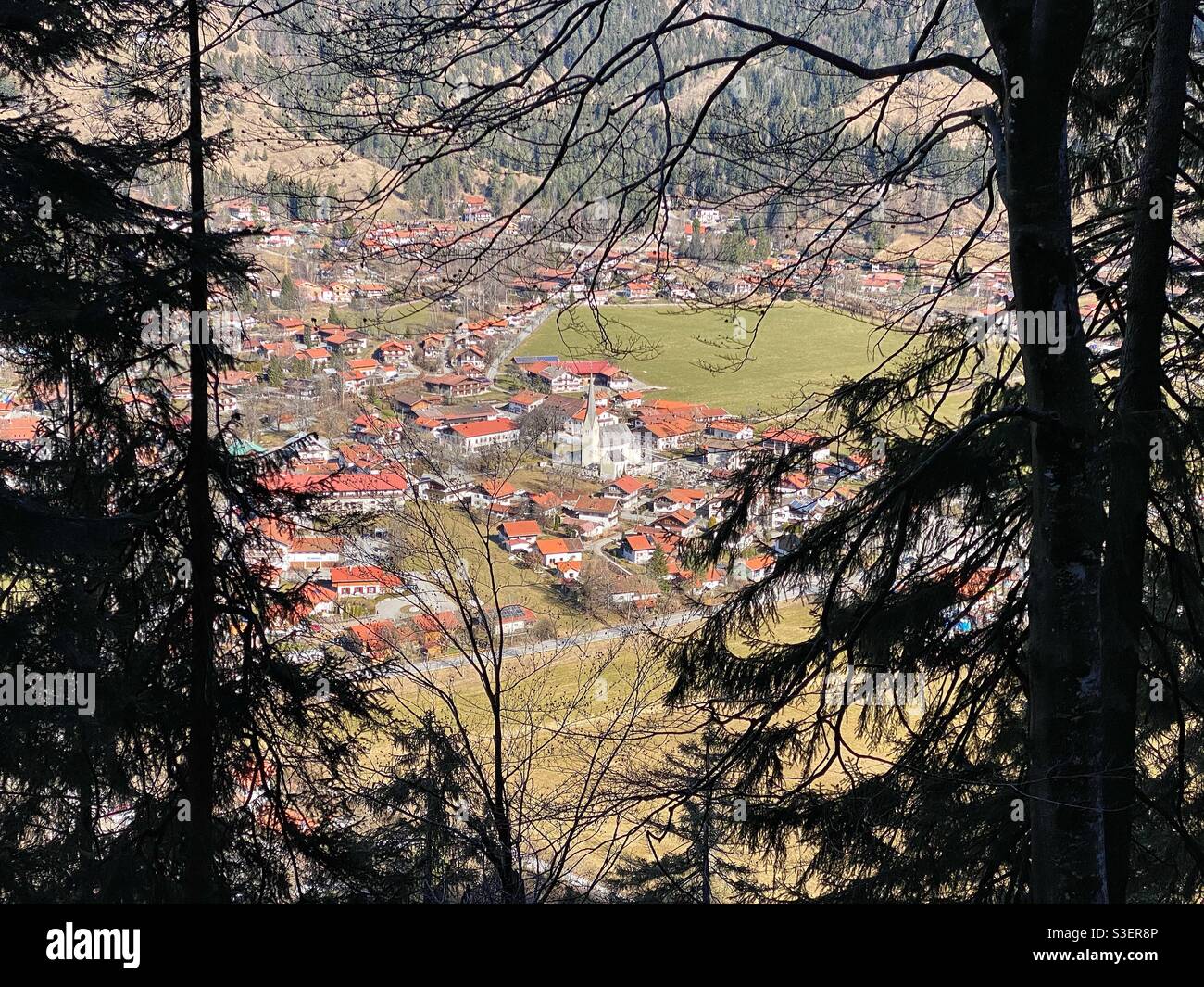 High angle view at Bayrischzell town with pine trees in the foreground, Germany. - Smartphone Captured Stock Image