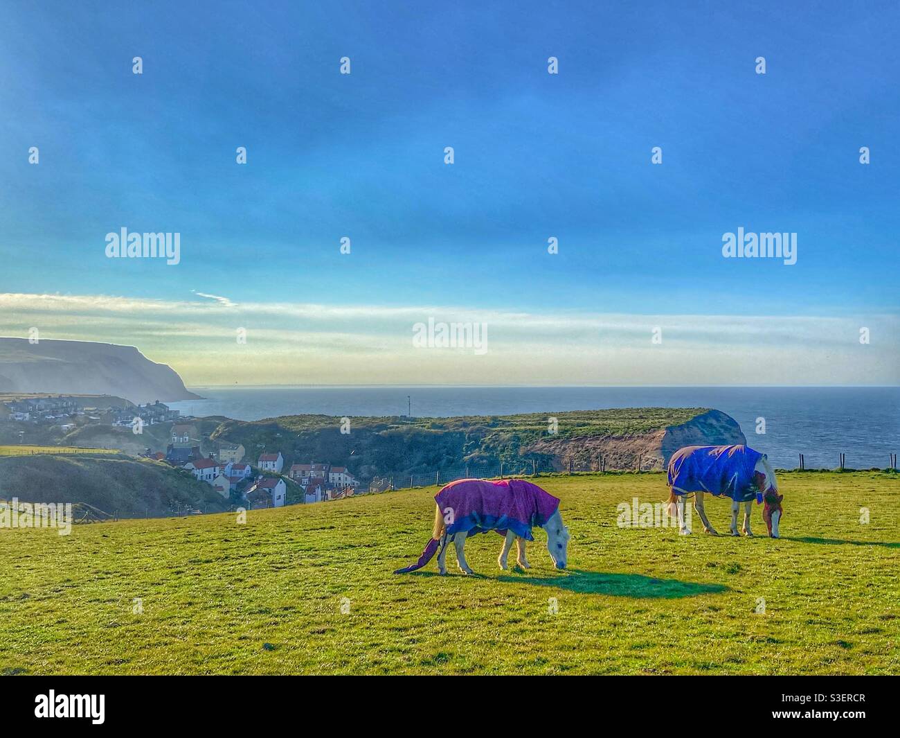 Coastal walks - Smartphone Captured Stock Image