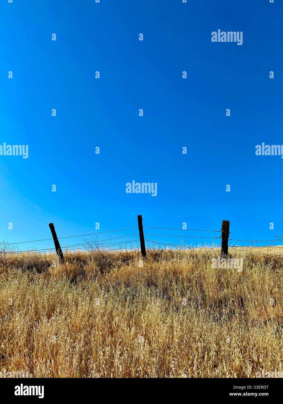 Grass, wire fence, blue sky - Smartphone Captured Stock Image