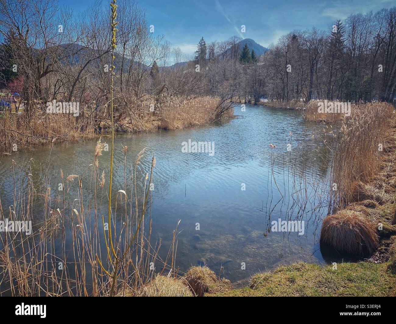 Schlierach spring going from lake Schliersee in Bavarian Alps, Germany. - Smartphone Captured Stock Image Schlierach spring going from lake Schliersee in Bavarian Alps, Germany. - Smartphone Captured Stock Image