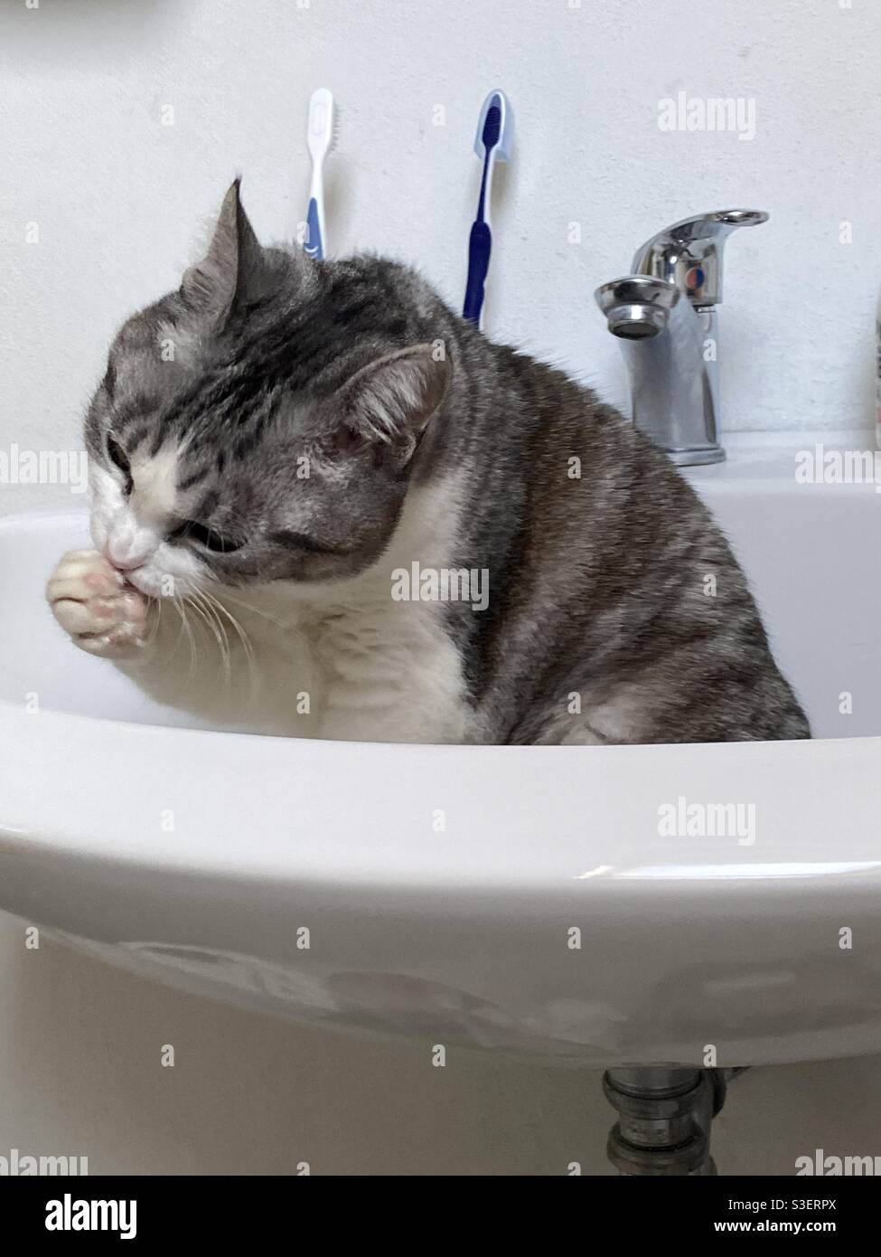 Keep cleaning hires stock photography and images Alamy