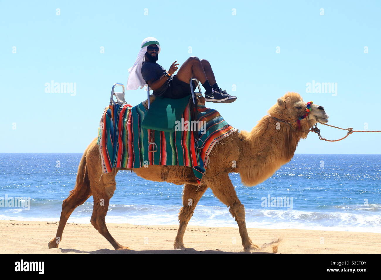 Kick your feet up and enjoy Beach flow Camel ride Stock Photo Alamy