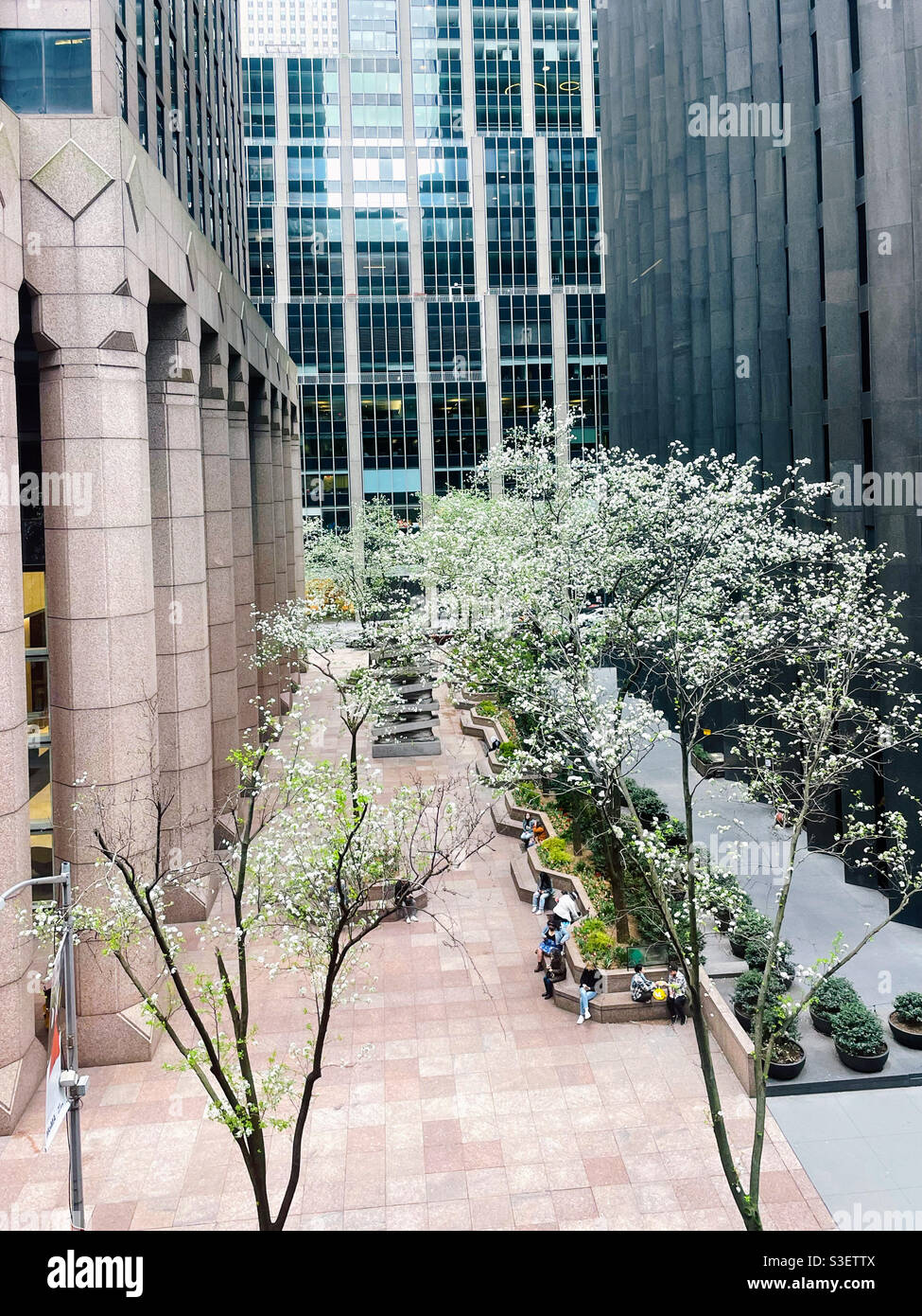 CVS urban Plaza between West 52nd and W. 53rd St. during the spring time, NYC, USA - Smartphone Captured Stock Image