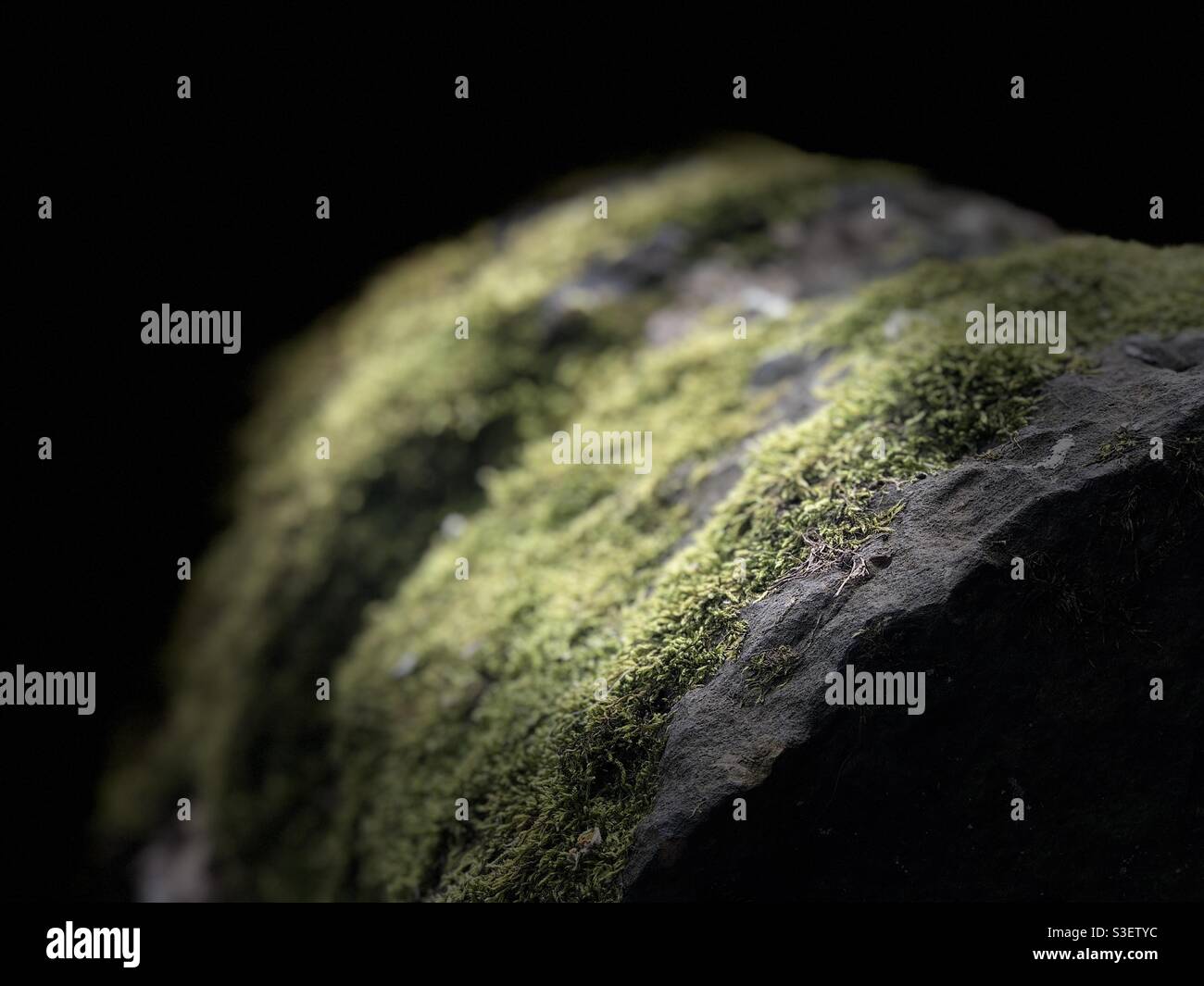 Moss growing on a stone wall with room for copy space - Smartphone Captured Stock Image
