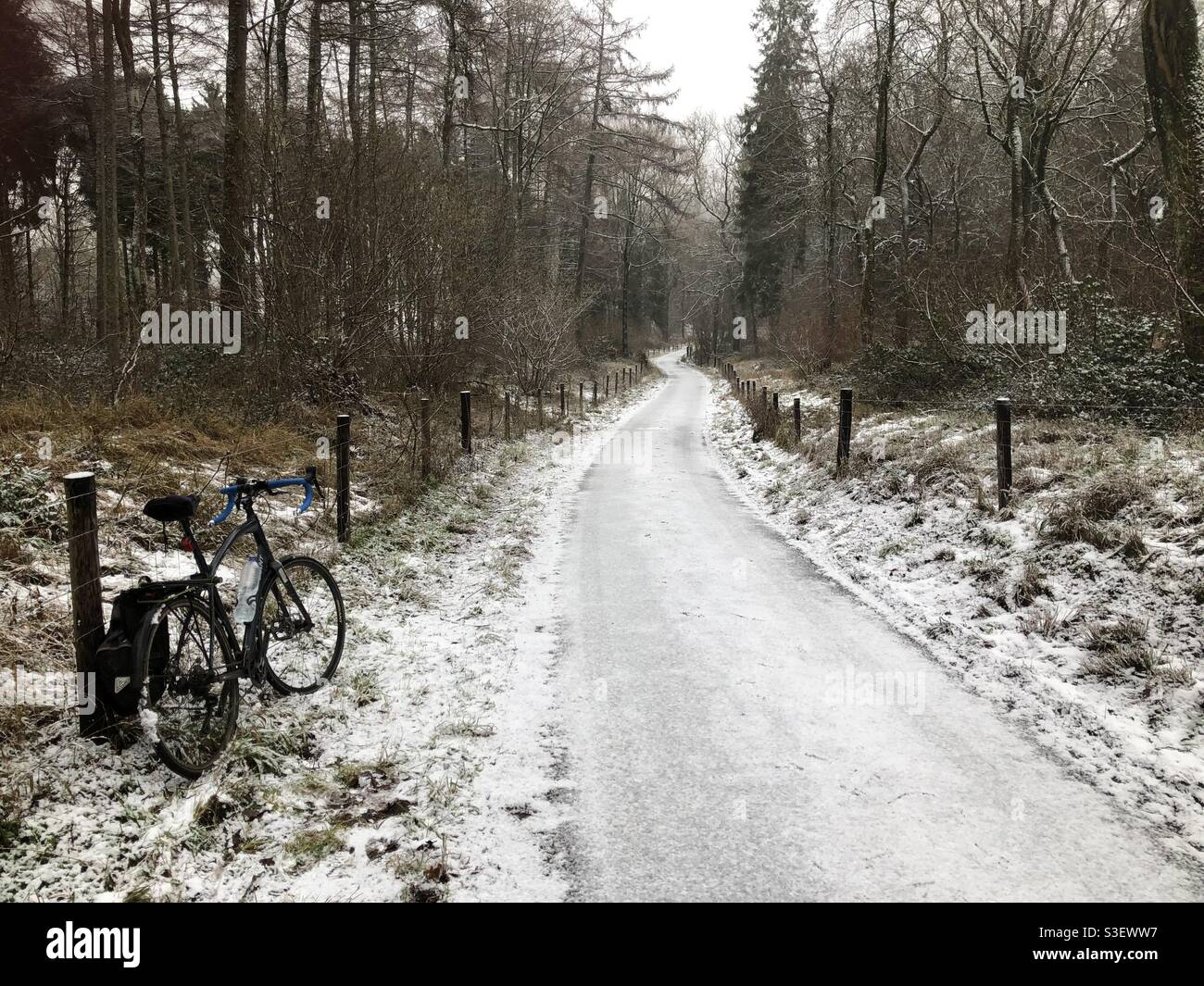Cycling on a remote road in fresh snow in a forest in the Cotswolds. Stock Photo