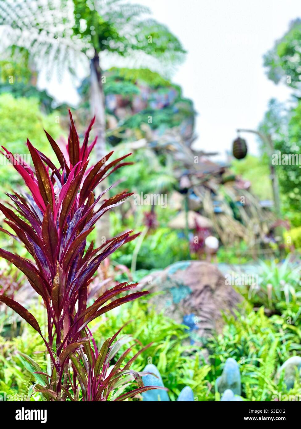 Florida plant life Stock Photo Alamy