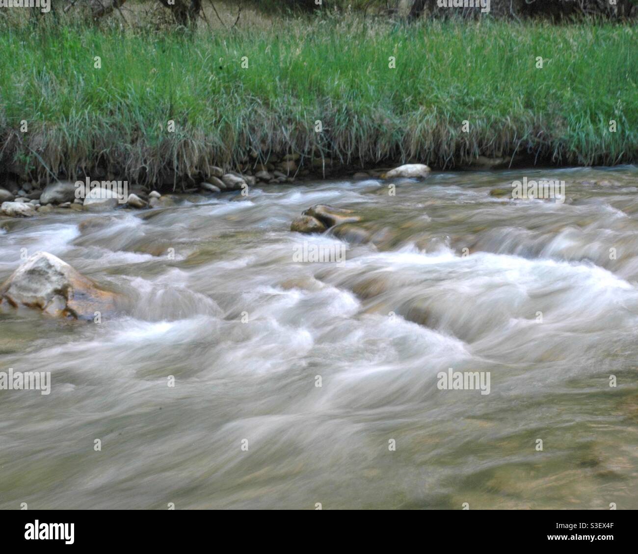 Motion blurred water in a flowing stream in Zion National Park, Utah - Smartphone Captured Stock Image