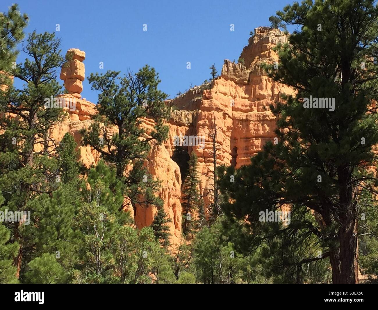 Red Canyon in the Dixie National Forest on Scenic Byway 12, Utah - Smartphone Captured Stock Image