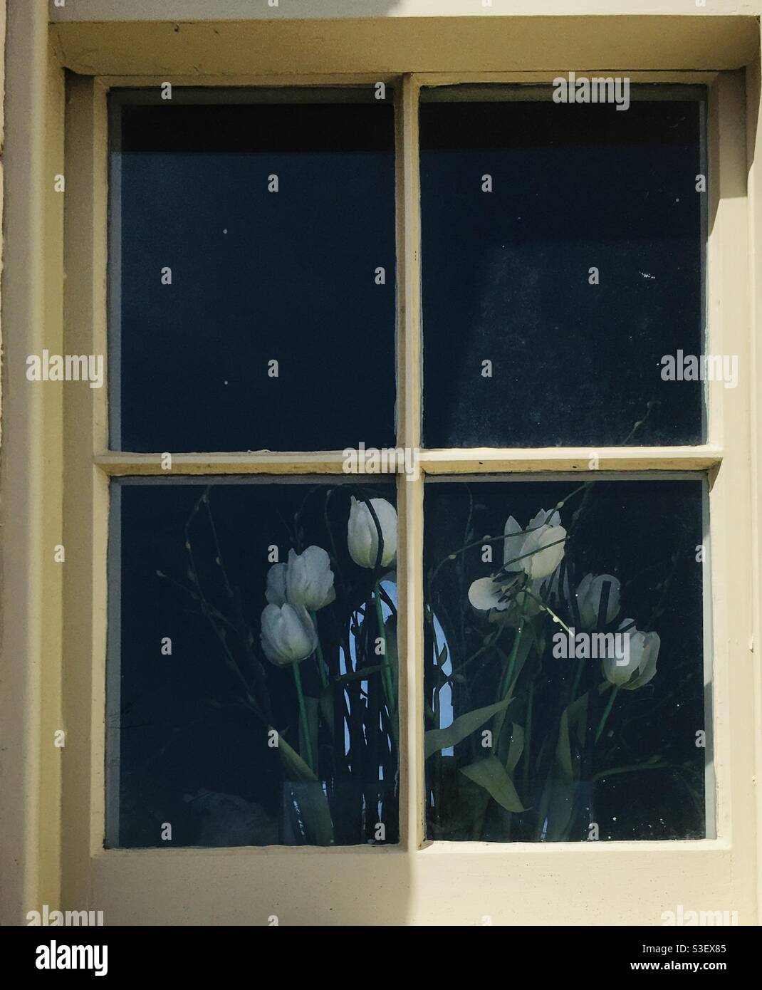 White flowers in 4 pane window Stock Photo