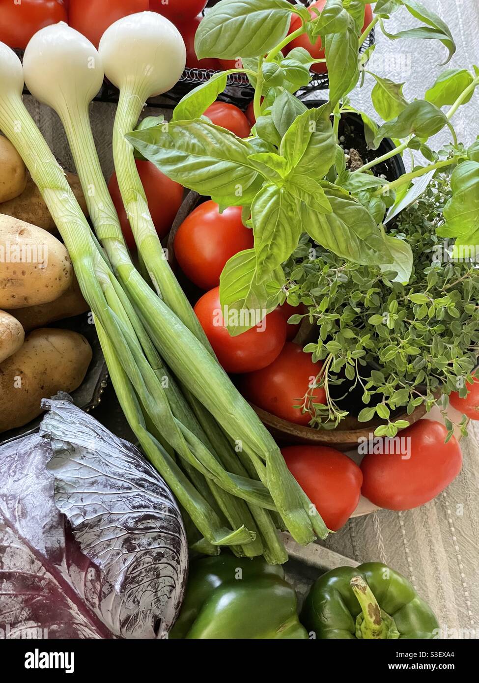 Veggies and herbs Stock Photo