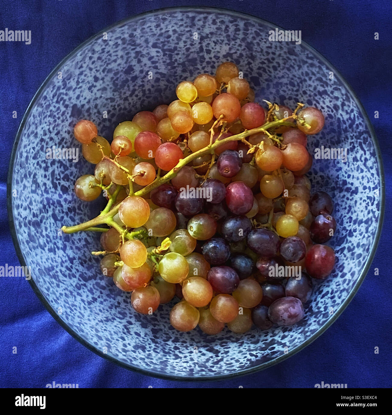 Bowl of grapes on a blue tablecloth - Smartphone Captured Stock Image