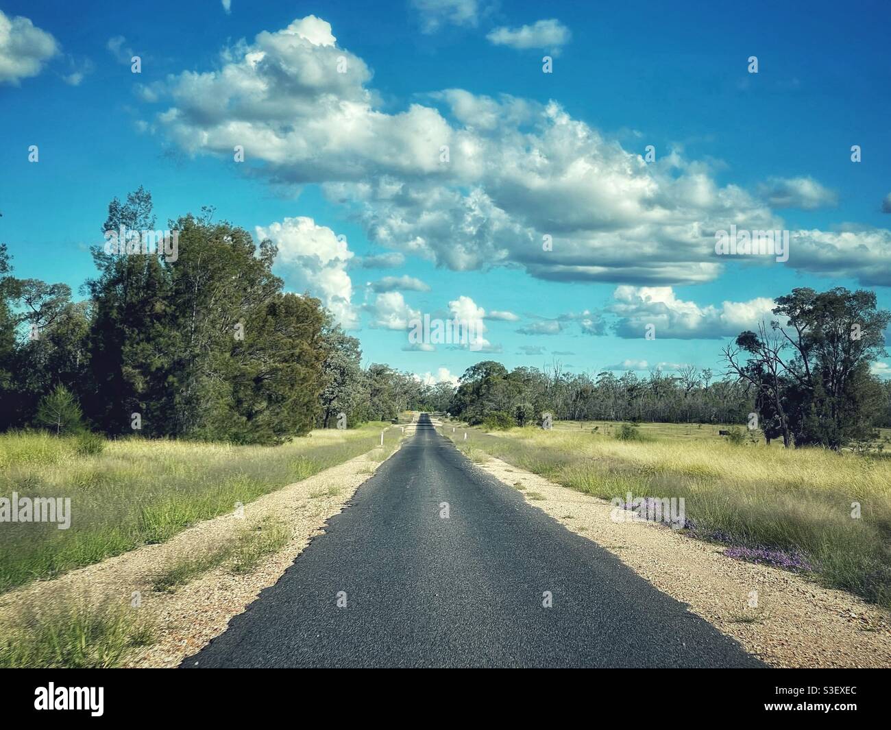 Straight country road, northern New South Wales, Australia - Smartphone Captured Stock Image
