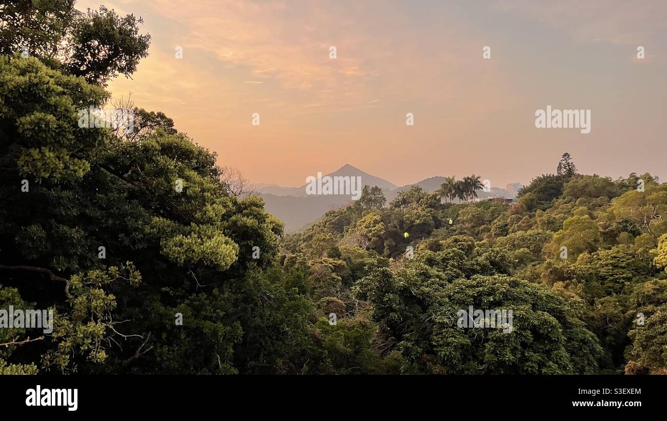 View on a sunset on a tropical jungle forest in Hong Kong with a mountain Stock Photo