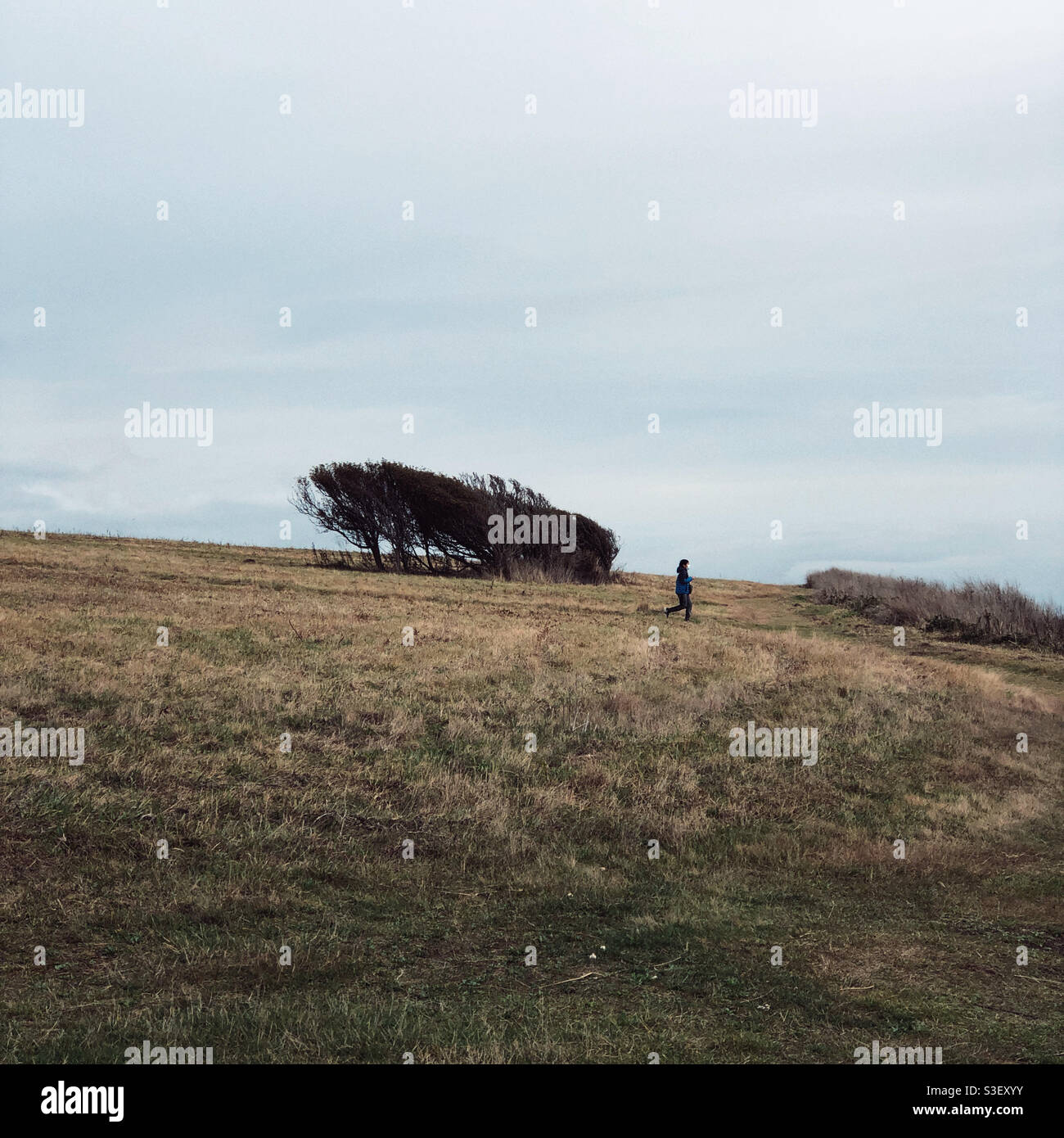 Mild coastal climate hi-res stock photography and images - Alamy