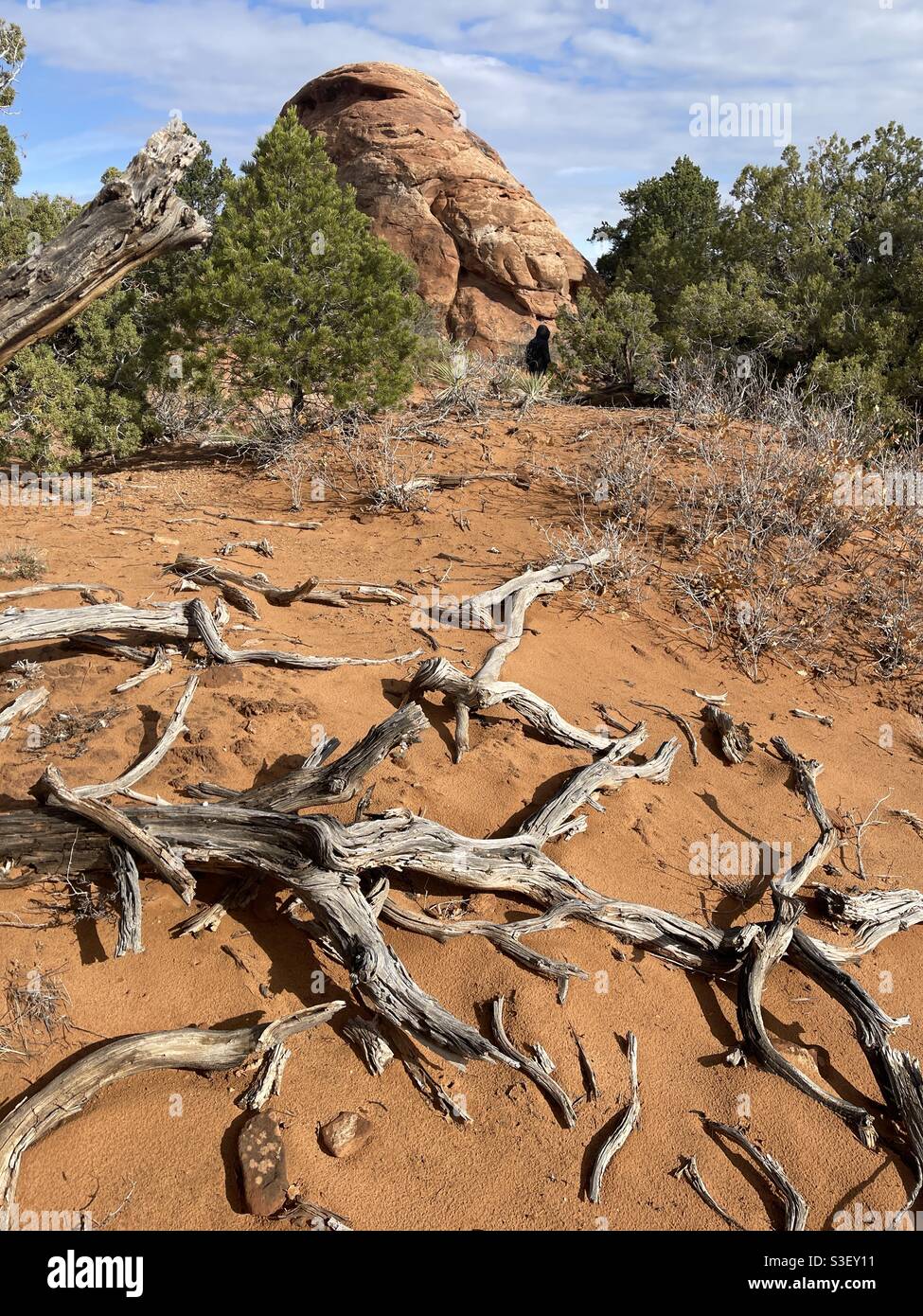 Devil’s Garden hike at Arches National Park, Utah - Smartphone Captured Stock Image