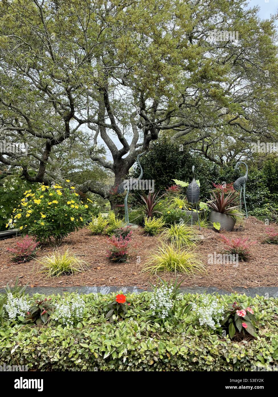 Outdoor garden with variety of flowers, plants, bird statues and trees - Smartphone Captured Stock Image Outdoor garden with variety of flowers, plants, bird statues and trees - Smartphone Captured Stock Image