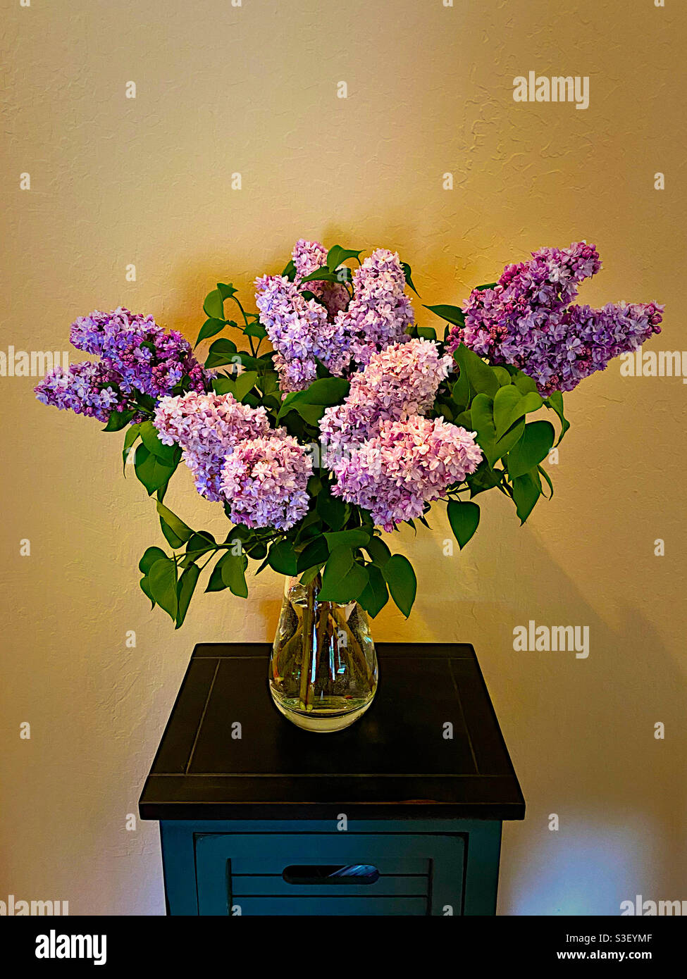 Bouquet of lilacs in a glass vase - Smartphone Captured Stock Image