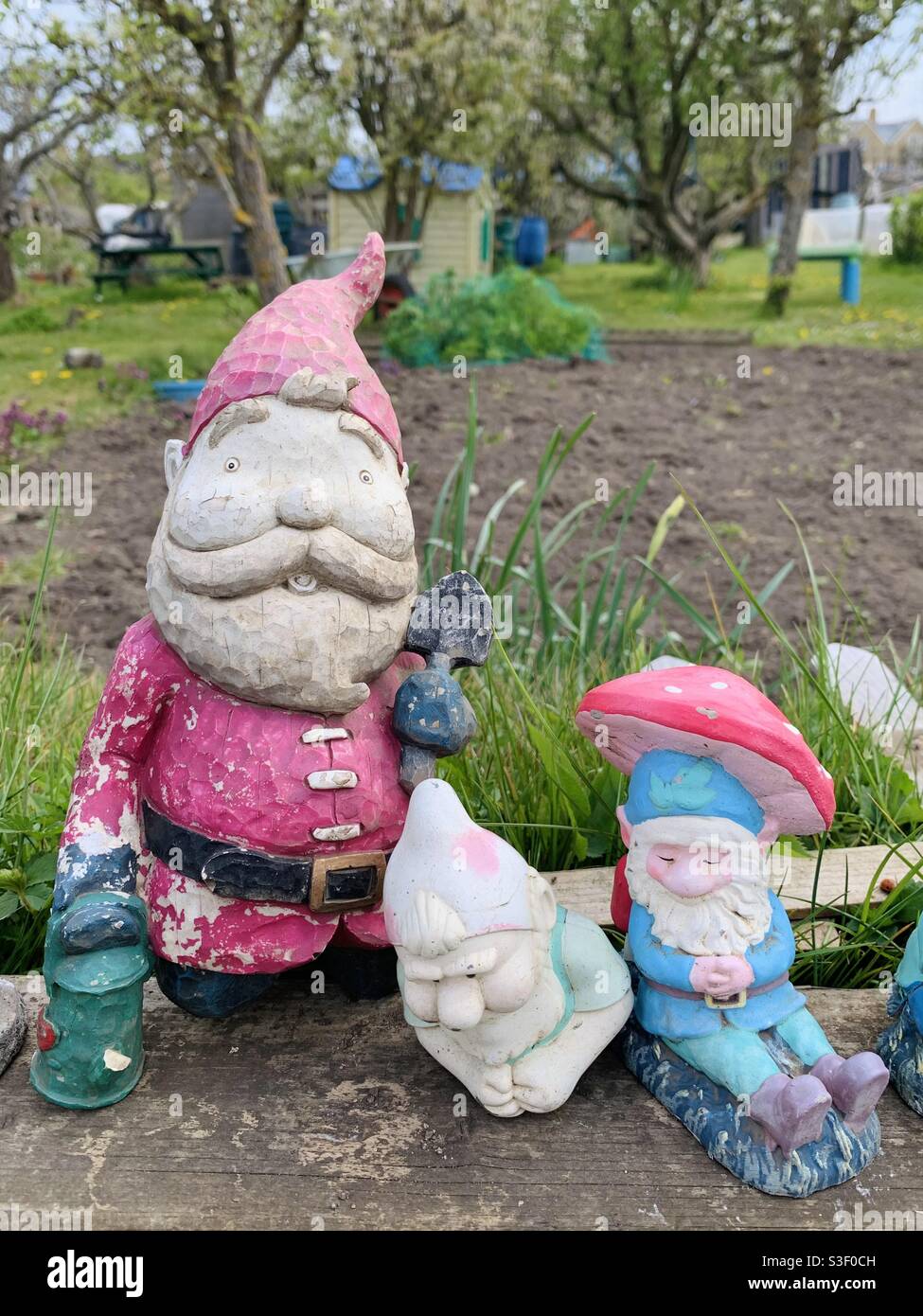 Garden Gnomes Stock Photo