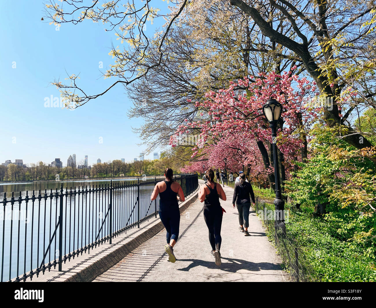 Runners enjoying sunny spring hi-res stock photography and images - Alamy