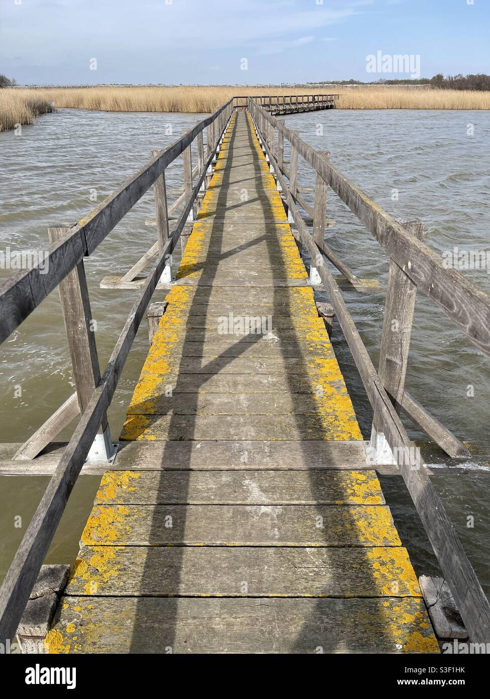 Long foot bridge over swamp lake or bog. - Smartphone Captured Stock Image
