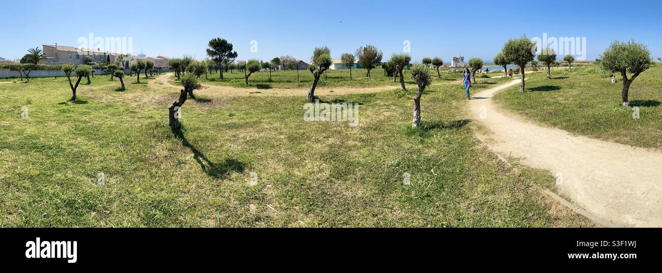 Public parc in Palavas les Flots, South of France - Smartphone Captured Stock Image