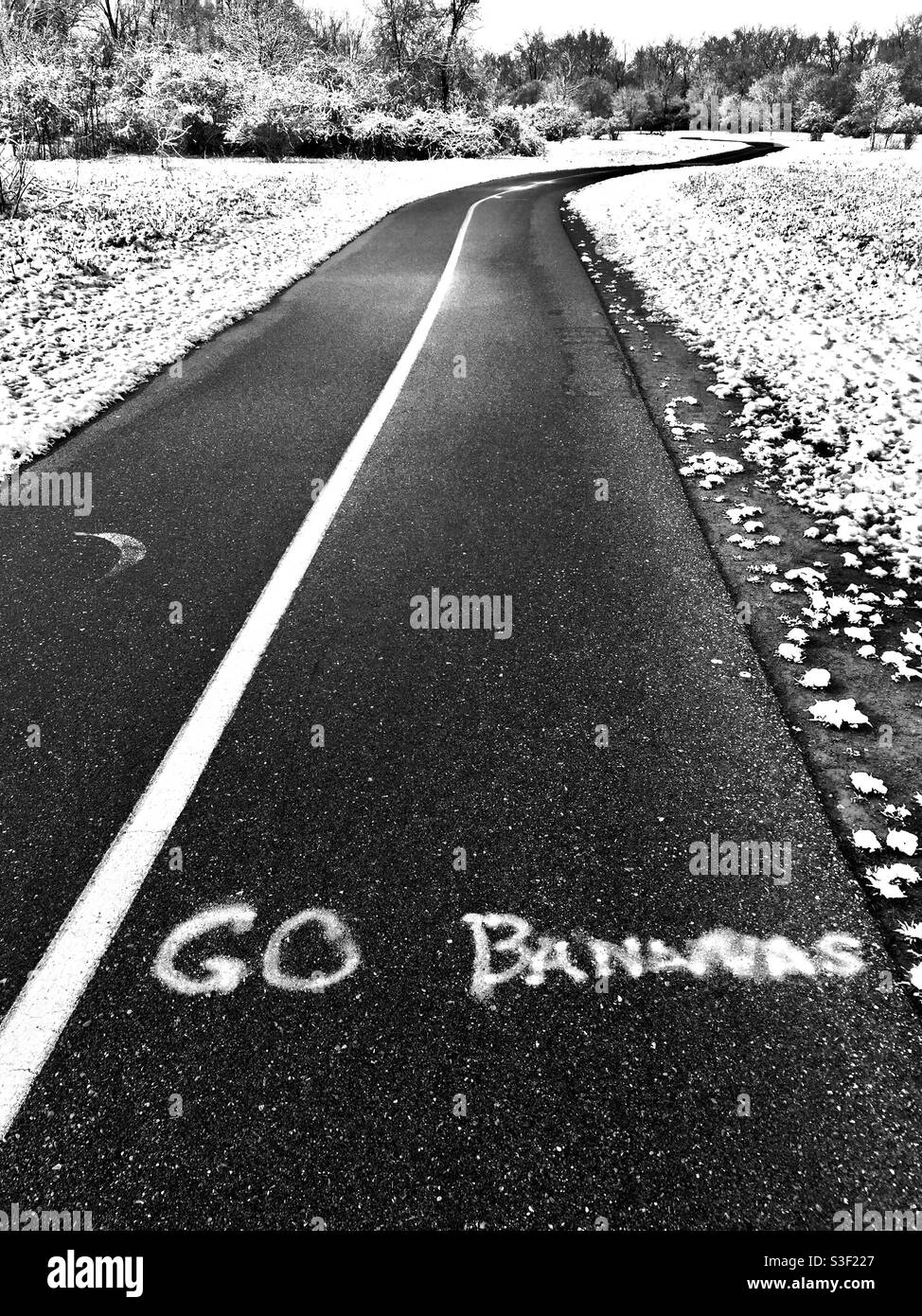 Fresh Snow and a curvy path marked with the cryptic message, go bananas, in B&W, Ontario, Canada. Concepts:towards..., meandering, nonlinear, flow, far, horizon, seasons. Stock Photo