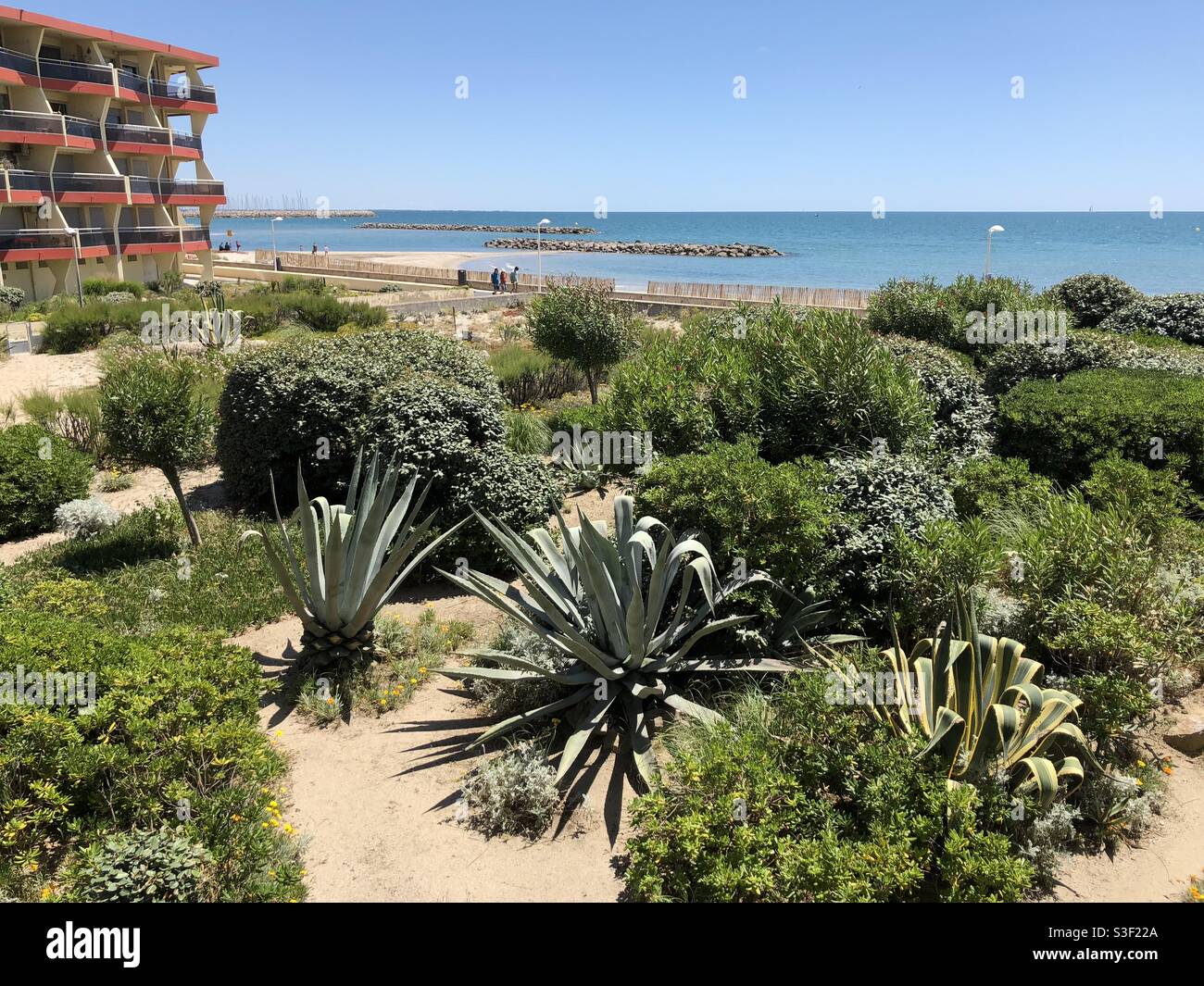 View of a garden or backyard from a balcony overseeing the Mediterranean Sea, with the beach and an orange building - Smartphone Captured Stock Image
