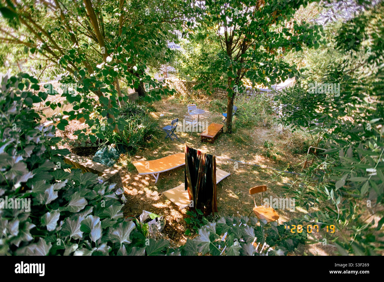 Sunny forest garden or backyard with chairs Stock Photo