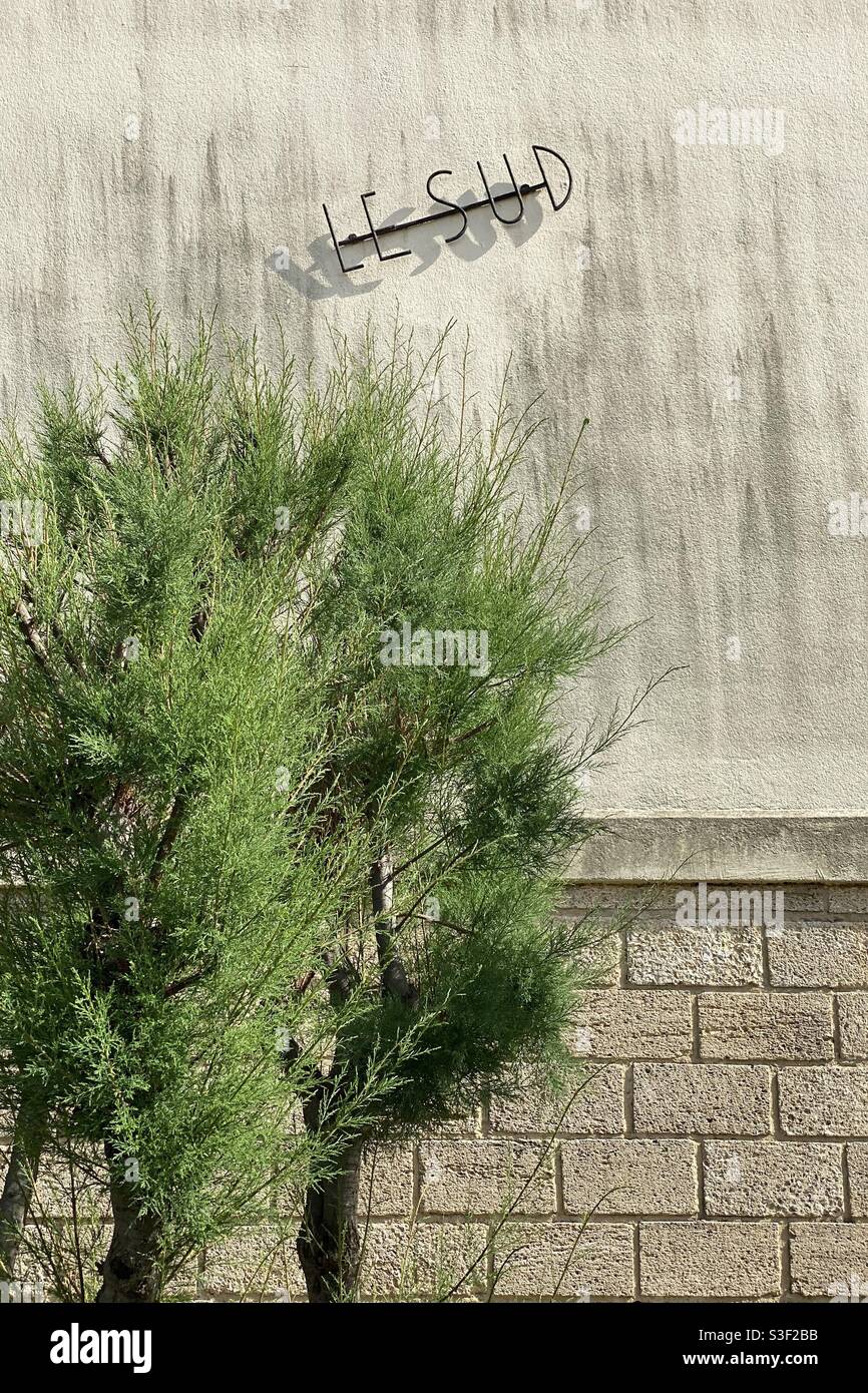Beige stucco wall with a southern le sud sign and a tall shrub tree in the foreground Stock Photo