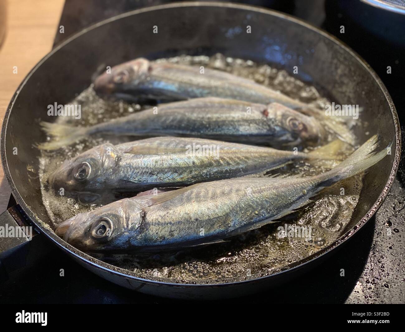 Frying mackerels fish in a kitchen pan - Smartphone Captured Stock Image