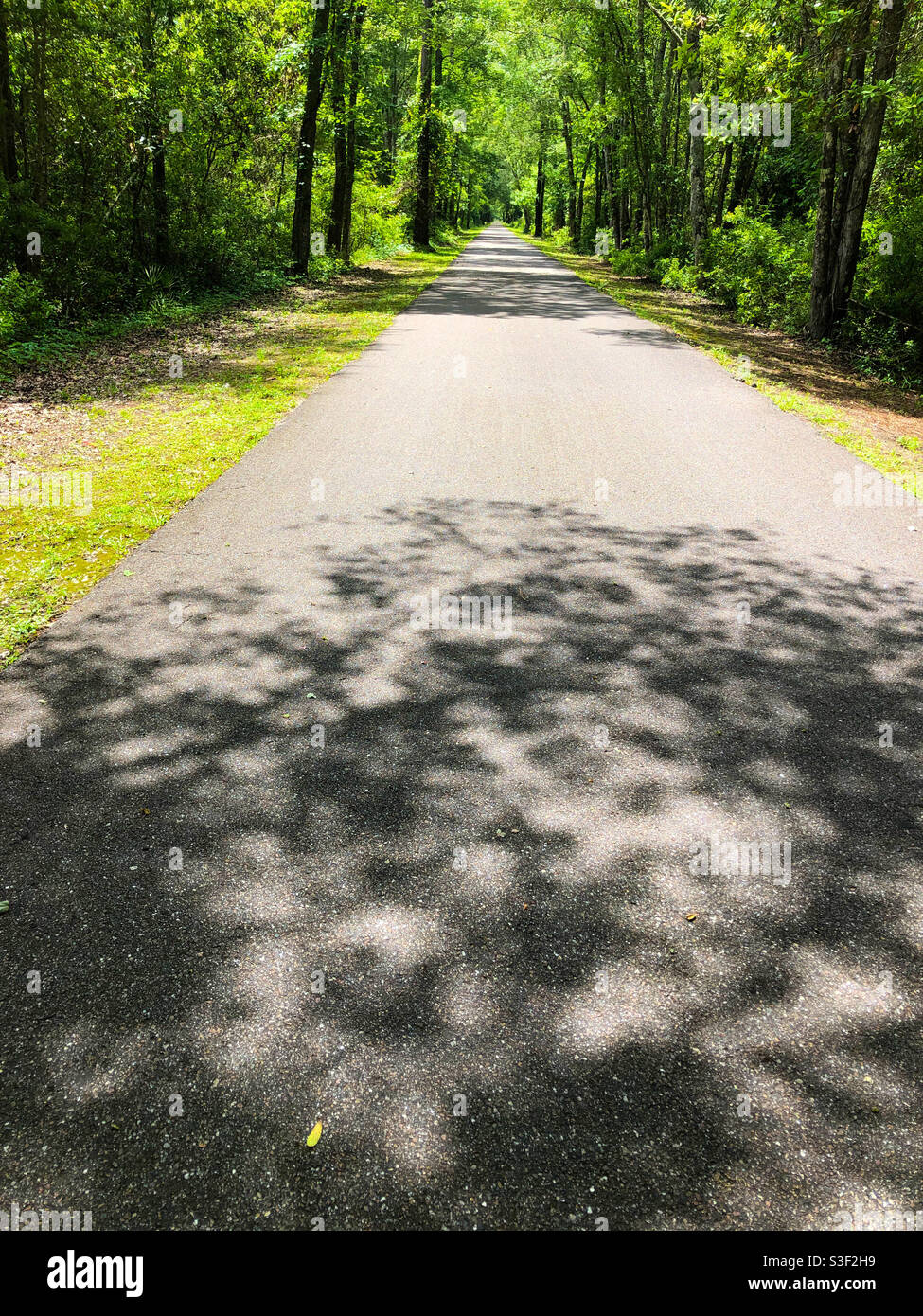 Bicycle path in Baldwin  Florida, near Jacksonville. Stock Photo