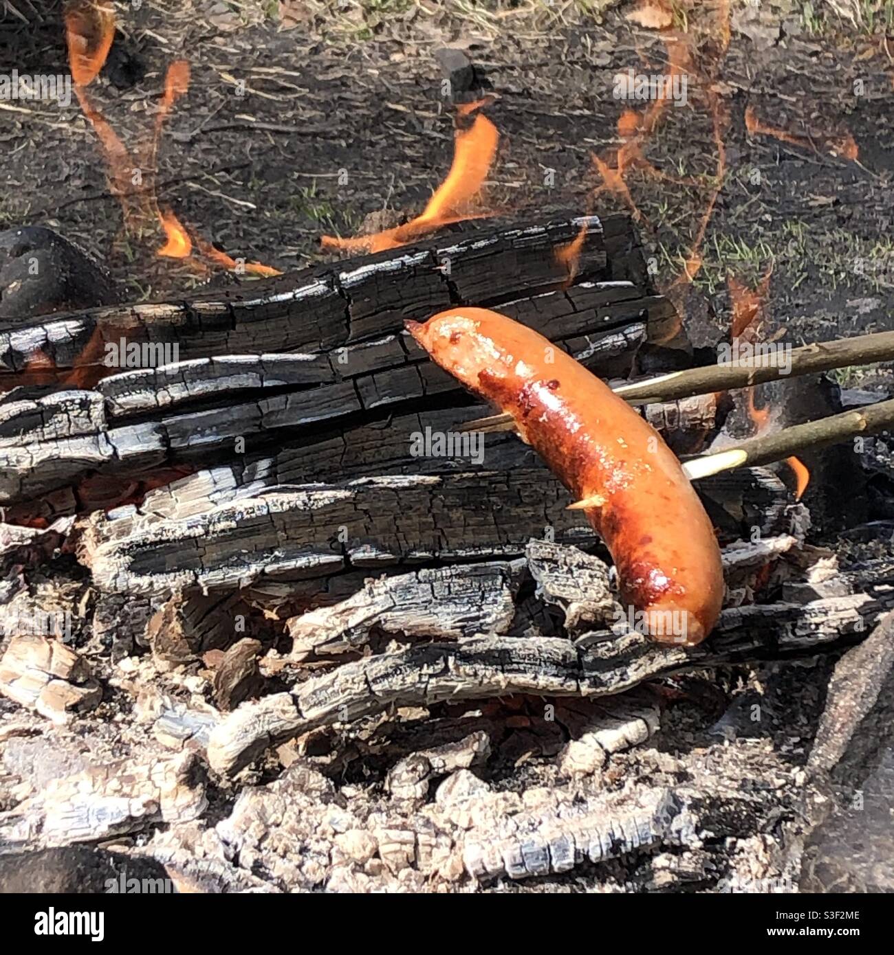 Grilling sausages on a stick over an open fire outdoors. - Smartphone Captured Stock Image