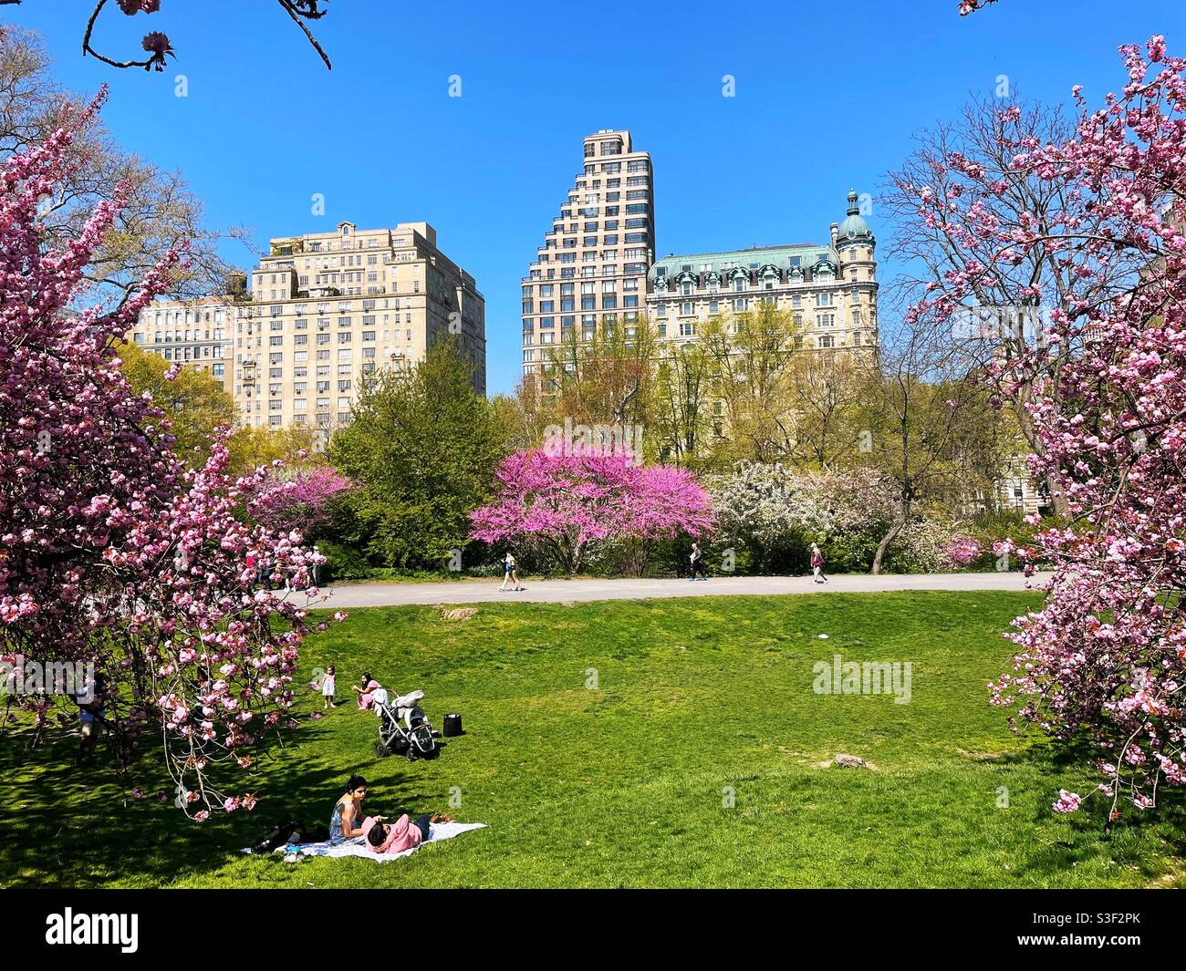 New Yorkers enjoying a beautiful spring afternoon in central park with expensive apartment houses on Central Park West in the background, NYC, USA - Smartphone Captured Stock Image