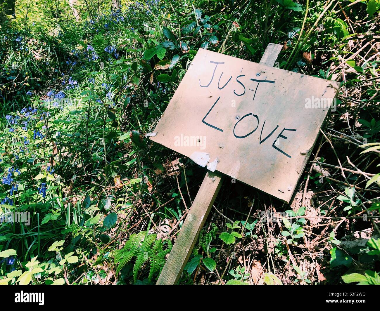 ‘Just love’ sign - Smartphone Captured Stock Image