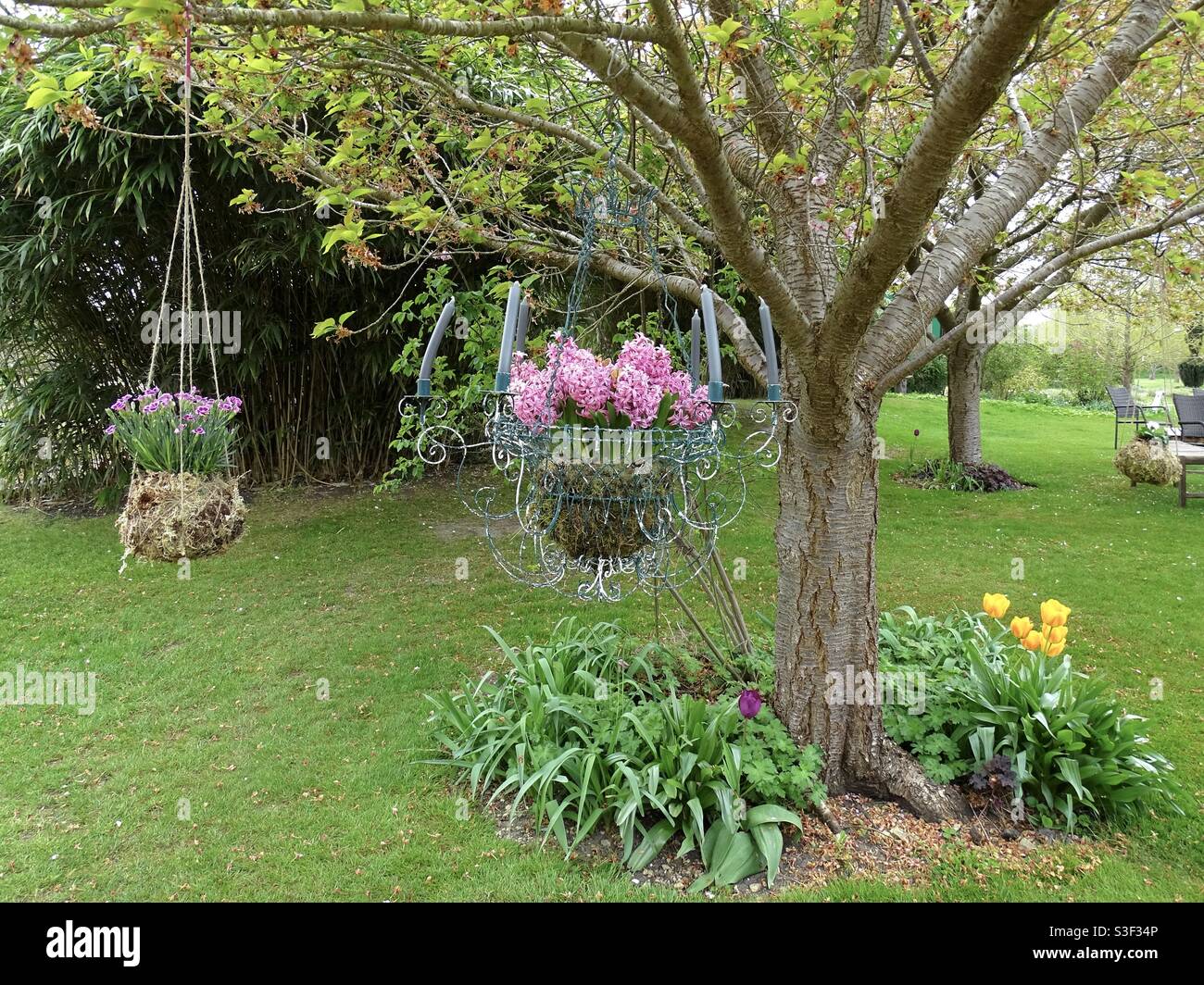 Beautiful spring flowers and hanging baskets in a garden Stock Photo
