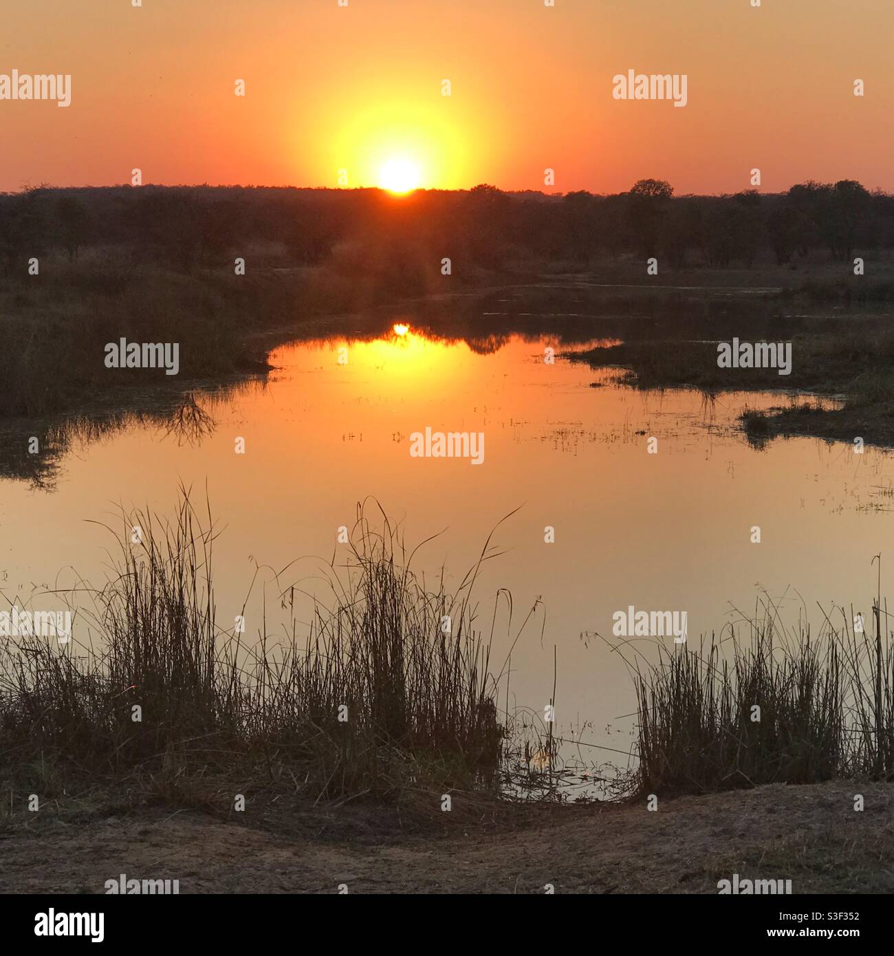 Sunrise on the Entabeni Safari Conservancy in South Africa - Smartphone Captured Stock Image