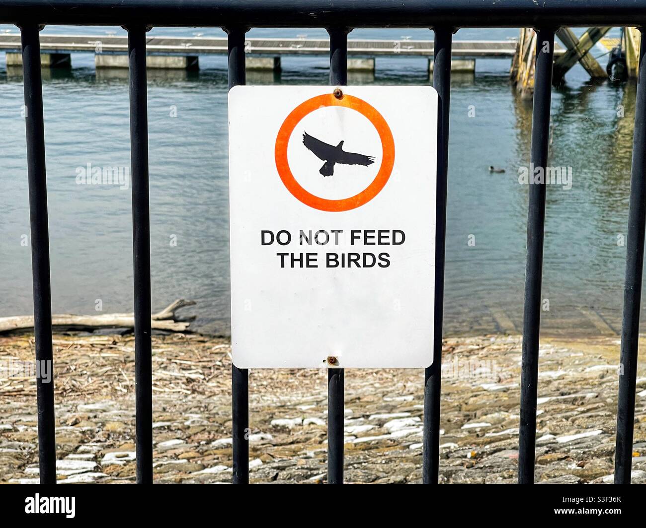 Sign asking visitors not to feed the birds on a city’s waterfront. No people. Stock Photo
