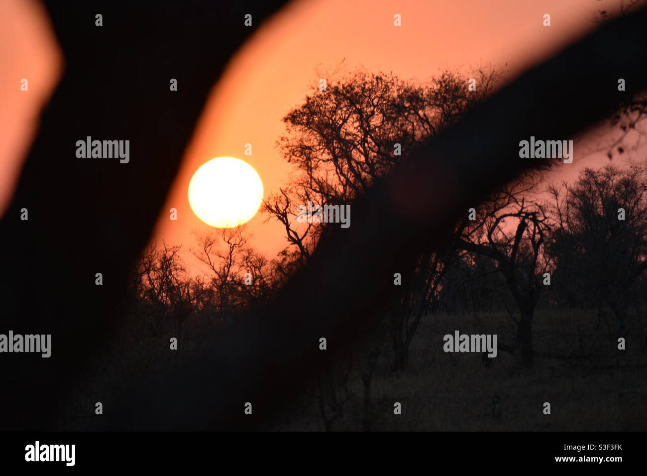 Sunset in Kruger National Park, South Africa - Smartphone Captured Stock Image