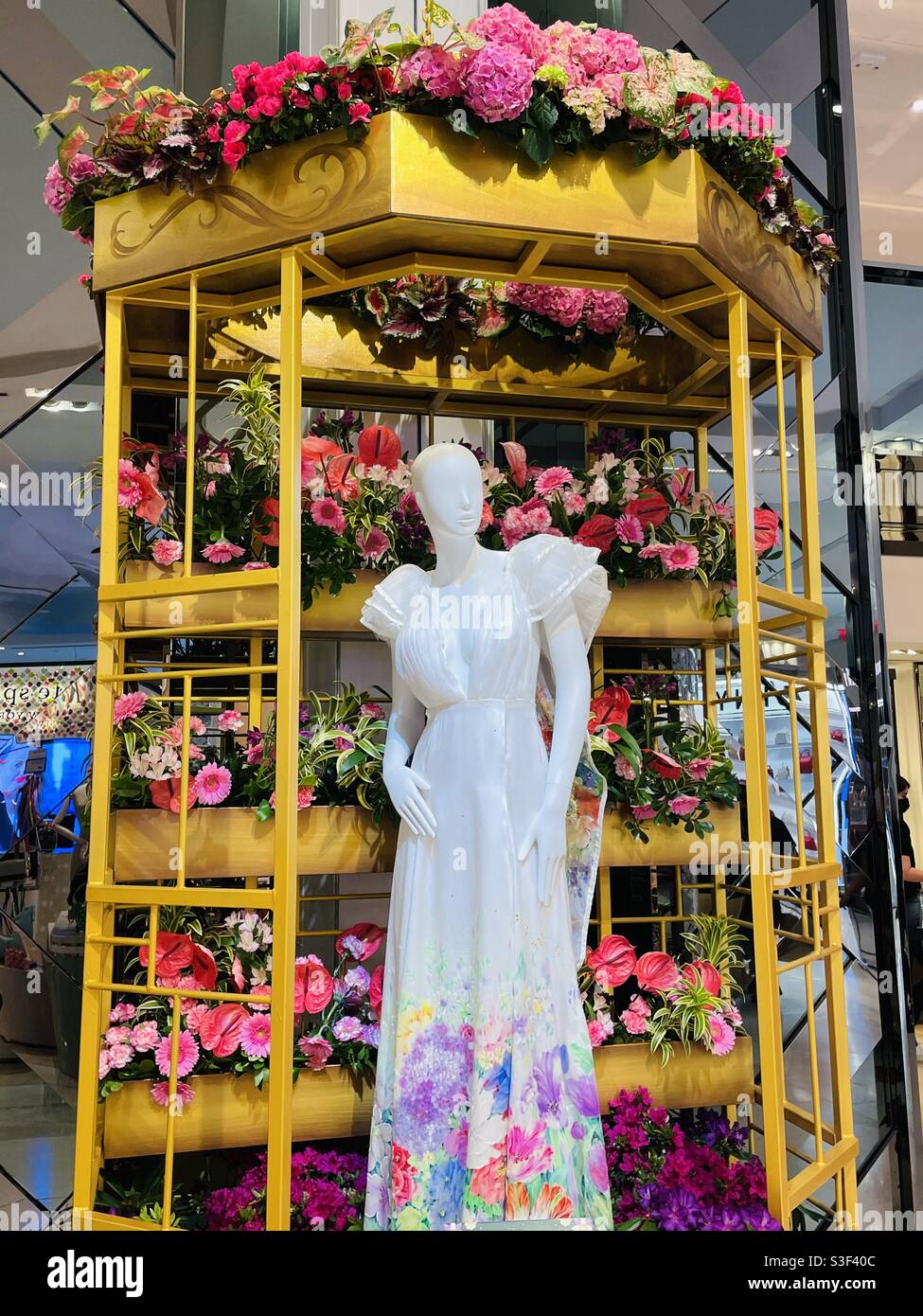Mannequin at Macy’s - Smartphone Captured Stock Image