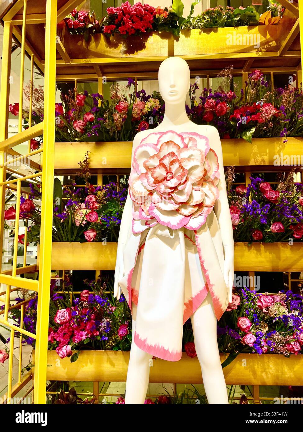 Mannequin at Macy’s flower show - Smartphone Captured Stock Image